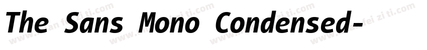 The Sans Mono Condensed字体转换